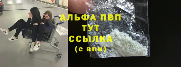 амф Вяземский
