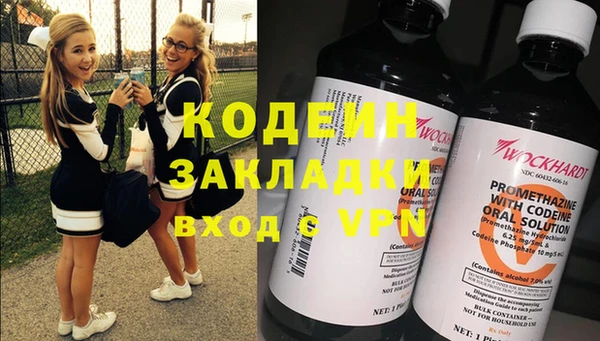амф Вяземский