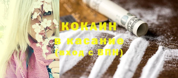 амф Вяземский