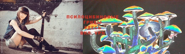 2c-b Гусь-Хрустальный