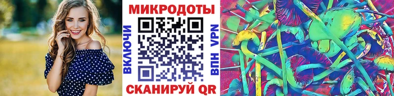 Галлюциногенные грибы GOLDEN TEACHER  Гусь-Хрустальный 